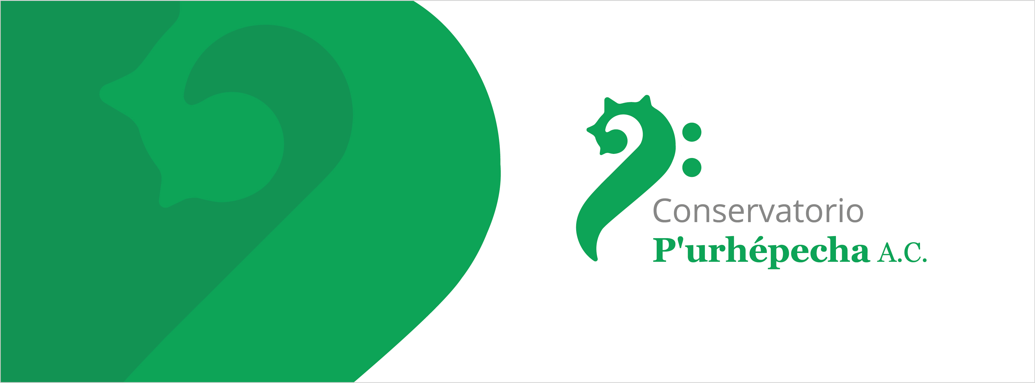 Conservatorio P'urhépecha A.C.